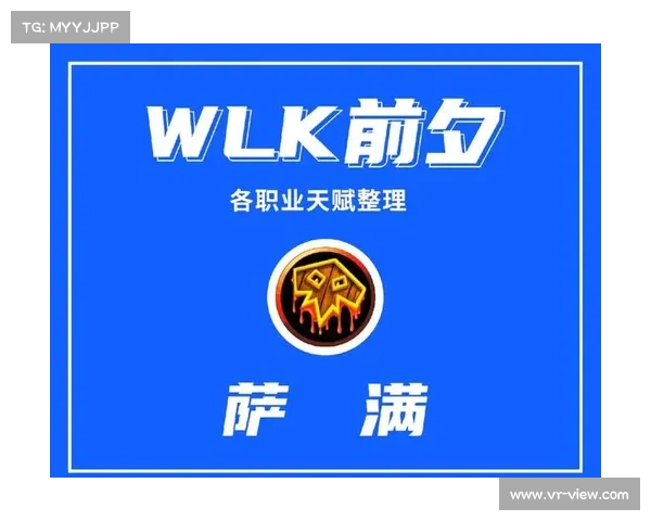 元素萨满高效输出技巧与最佳实践指南详解 元素萨满高效输出技巧与最佳实践指南详解